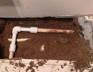 独山子测漏水哪家好